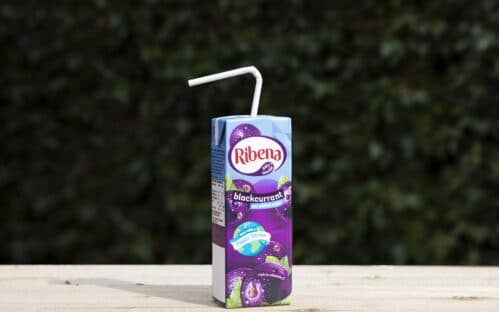 The final straw: Ribena becomes first major UK juice drinks brand to trial paper straws on cartons